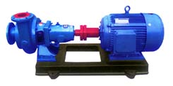 PW Sewage pump