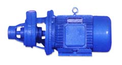 W series of vortex pump